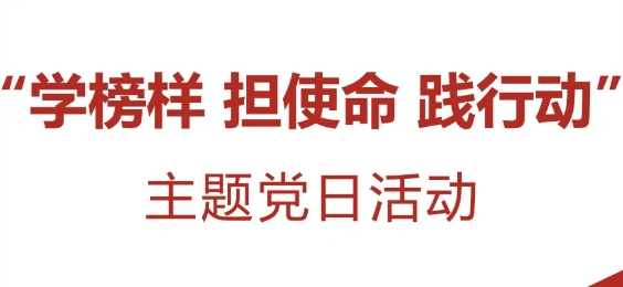 縣文旅集團(tuán)黨支部聯(lián)合開(kāi)展“學(xué)榜樣 擔(dān)使命 踐行動(dòng)”主題黨日活動(dòng)