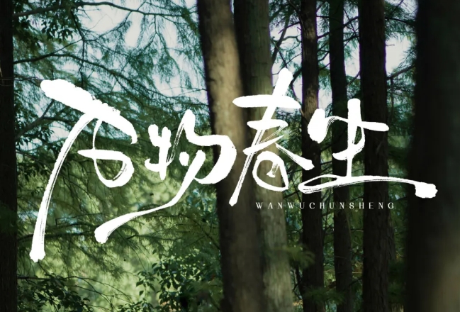 女神節(jié)特輯|在山野間為她造一場浪漫之夢